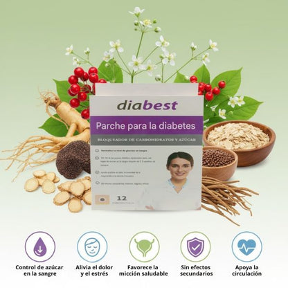 2 CAJAS DE 12 PARCHES PARA REGULAR LA GLUCOSA